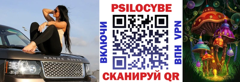 Галлюциногенные грибы Cubensis  даркнет состав  Нерчинск 